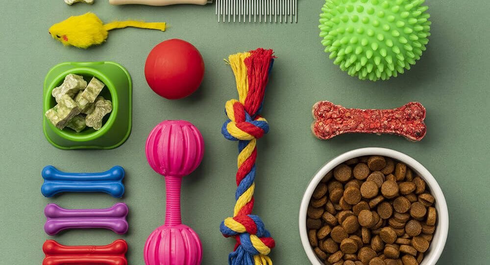 Cat Care Guide for New Owners Essential 2026 Tips