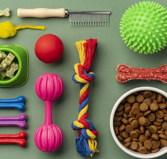 Cat Care Guide for New Owners: Essential 2026 Tips