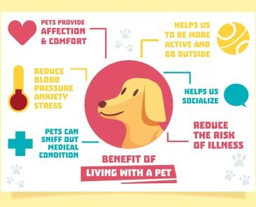 Common Pet Health Problems Prevention Guide 2026