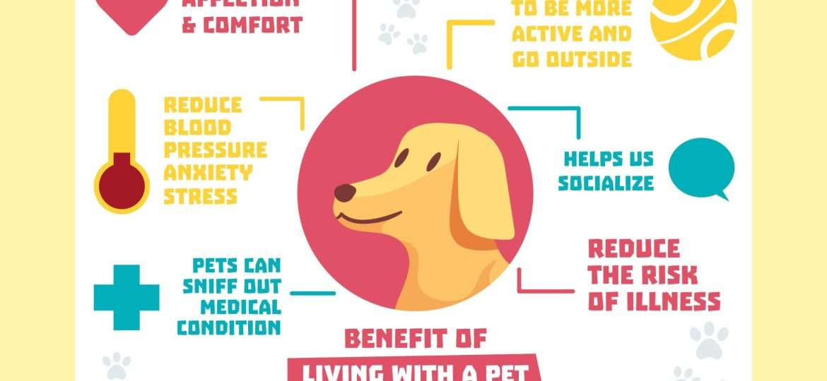 Common Pet Health Problems Prevention Guide 2026