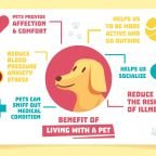 Common Pet Health Problems Prevention Guide 2026