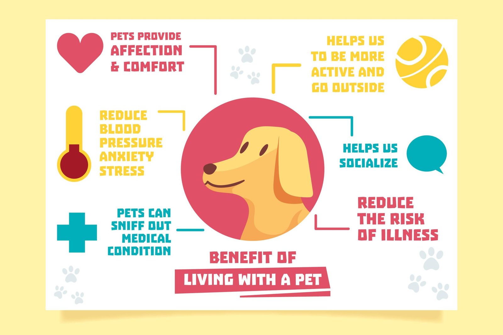 common-pet-health-problems-prevention-guide-2026