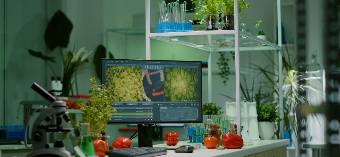 Simple ways to live a sustainable life Eco friendly kitchen with reusables and fresh produce