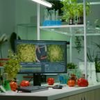 Simple ways to live a sustainable life Eco friendly kitchen with reusables and fresh produce